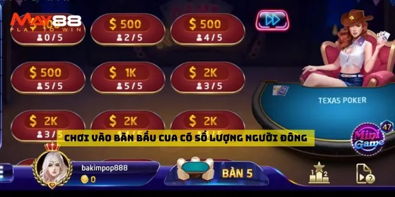 Chơi vào bàn bầu cua có số lượng người đông