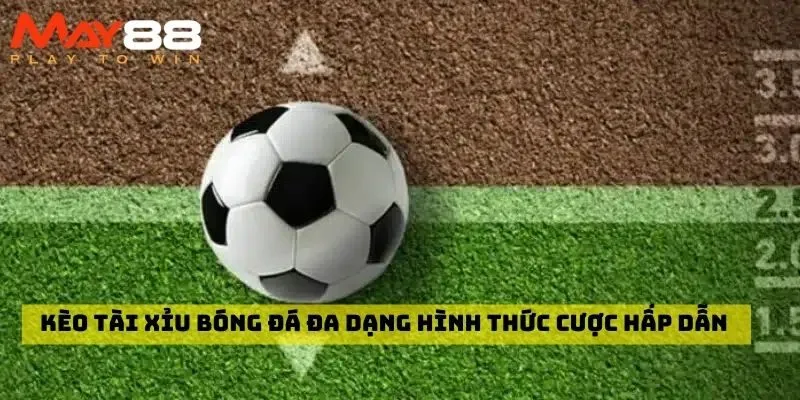 Kèo tài xỉu bóng đá đa dạng hình thức cược hấp dẫn