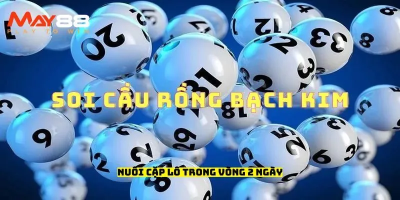 Nuôi cặp lô trong vòng 2 ngày