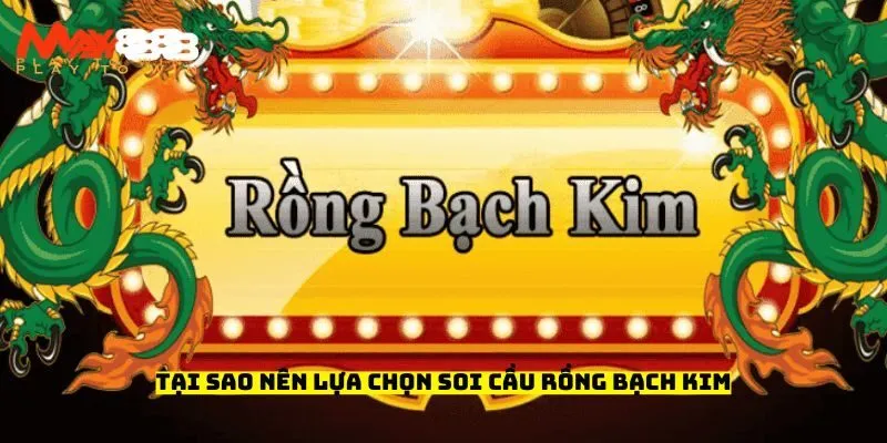 Tại sao nên lựa chọn soi cầu rồng bạch kim