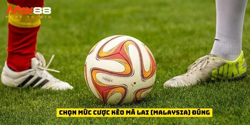 Chọn mức cược kèo Mã Lai (Malaysia) đúng