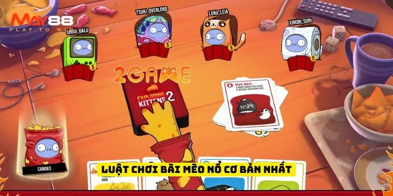 Luật chơi bài mèo nổ cơ bản nhất