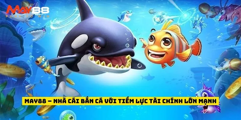 May88 – Nhà cái bắn cá với tiềm lực tài chính lớn mạnh